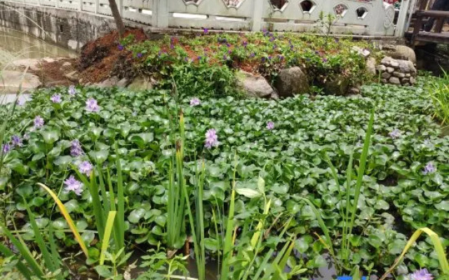 Yuyao Yijia Homestay (Yuyao Siming Lake Scenic Area)