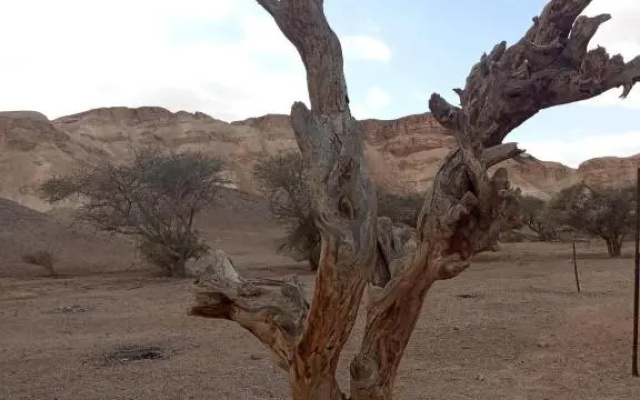 הבית החום בערבה יחידה זוגית