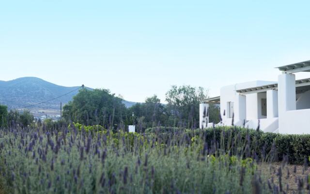 Studios & Apartments Golden Sand Paros