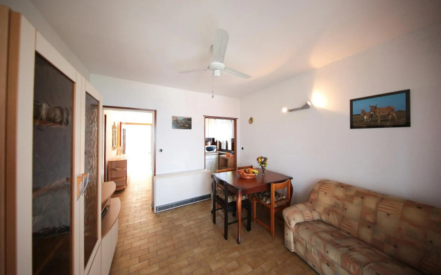 Apartmants Amor