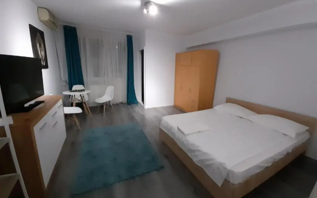 Bega Circumvalatiunii 1 Room Apartment