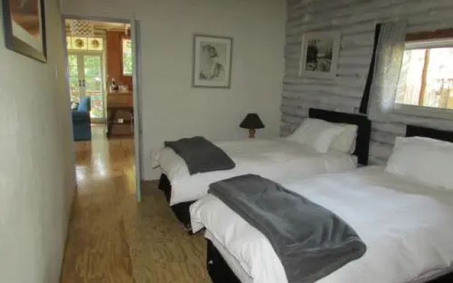 Old Pine Cabin