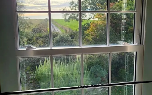 The Green Door Vegan B&B