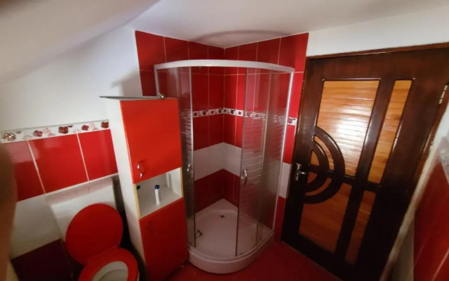 Rustic Hostel Vidra