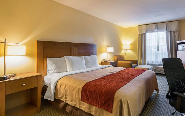 Comfort Inn Dahlgren