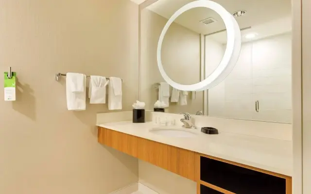 SpringHill Suites by Marriott McAllen Convention Center