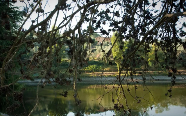Fattoria Le Poggiola