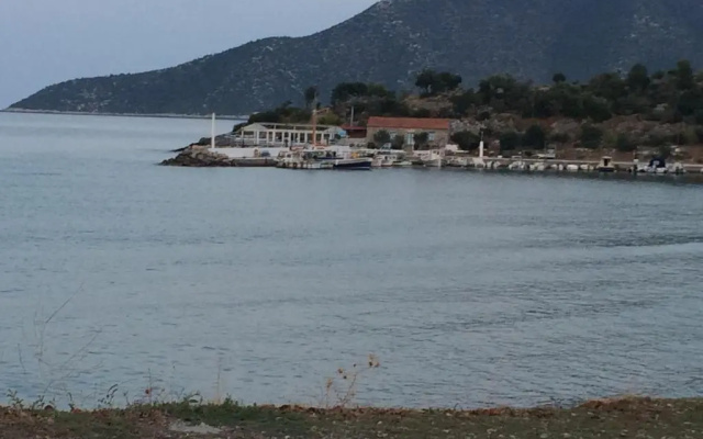 Stam House