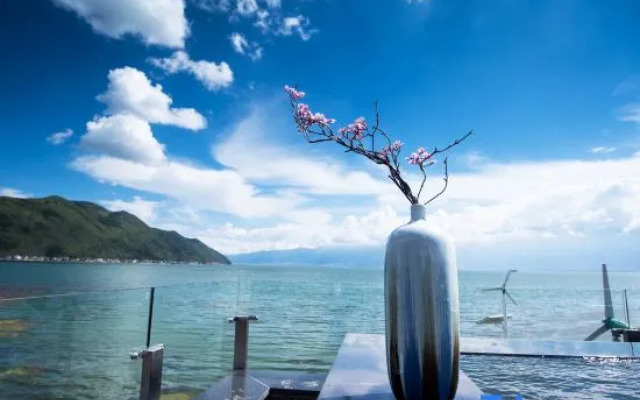 Sea Lily Sea View lnn