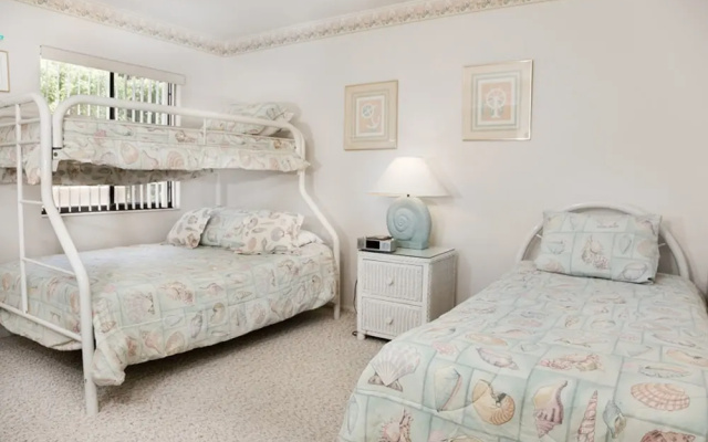 Loggerhead 424