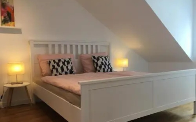 Über den Dächern Boppards