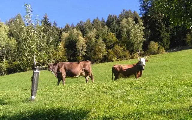 Stockhof