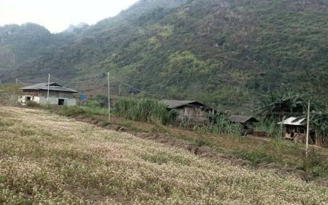 GG Du Gia Homestay