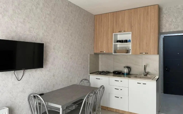 1-bedroom appartment in the centre of bakuriani 2