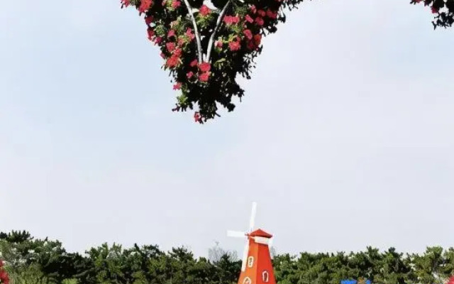 Longkou Chenlan Apartment (Poly Plaza Longfor Paradise Walk)