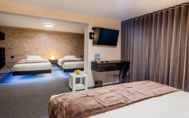 Hotel Viza