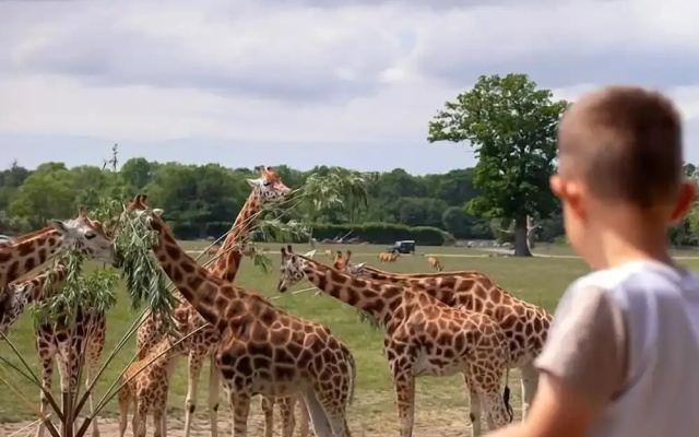 Knuthenborg Safaripark