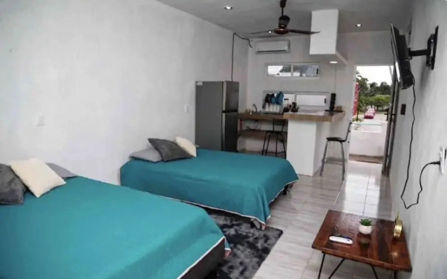 Studios erizo