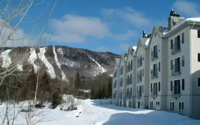 Chalet 620 Chemin du Hibou #006