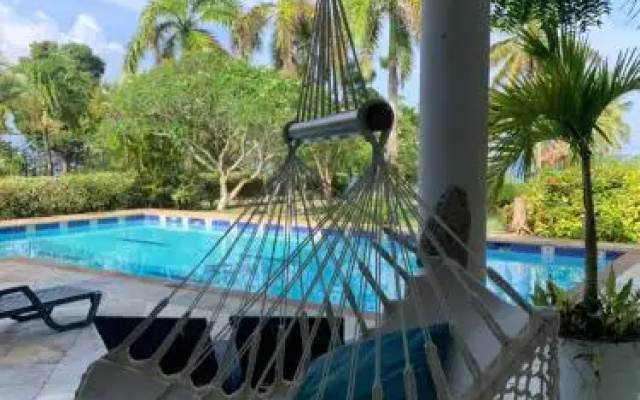 Tropical Garden
