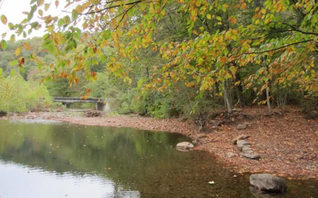 Dry River Cabin