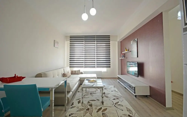 Eray Suite