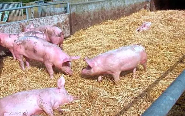 La Ferme Chauvet