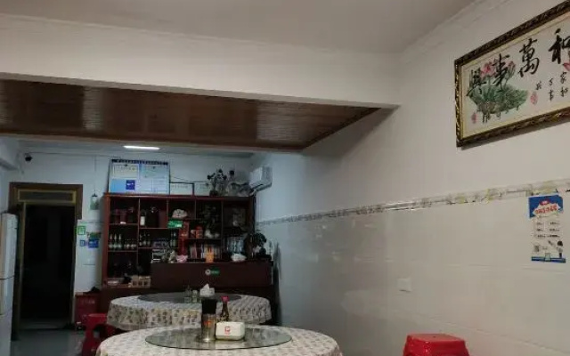 anjing