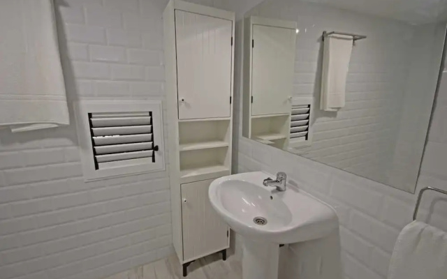 Cactus GrupalMalaga