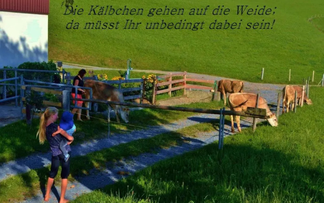 Mühlenhof