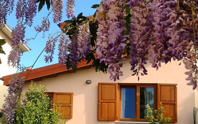 B&B1913