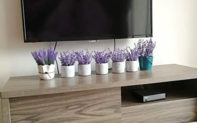 VgoCameron Home