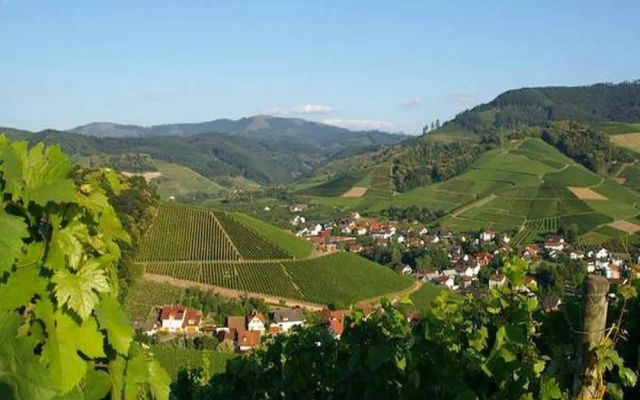 Gasthaus - Pension Hohberg