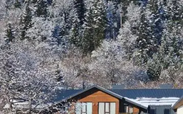 Eco-Friendly studio near Didveli
