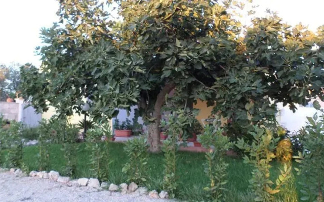 Casavacanze il Mojco