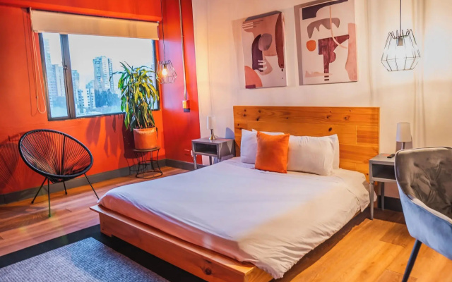 Socialtel Provenza Medellin