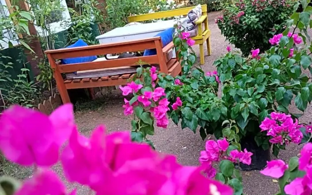 Canario Bungalows