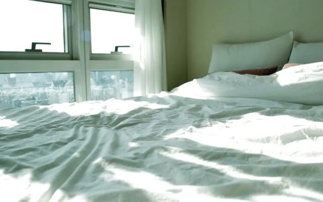 Location in Myeongdong Studio