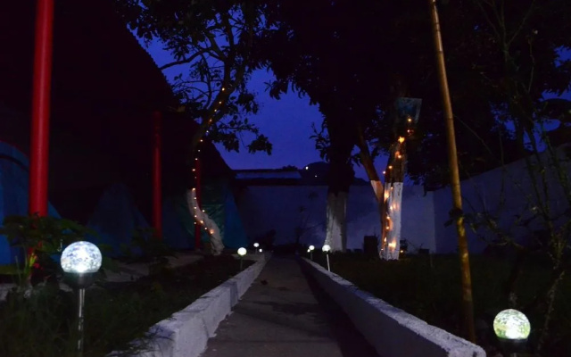Magic Jardín