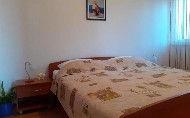 Apartments Borovina