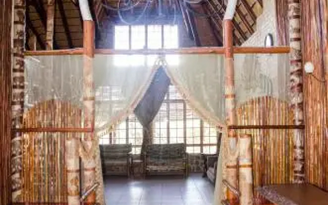 Lazy lion African Art Thatch House