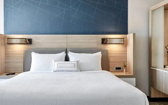 SpringHill Suites by Marriott Orangeburg