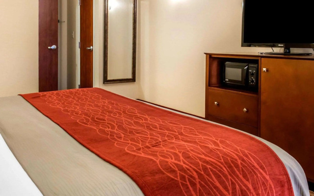 Comfort Inn & Suites Franklin East