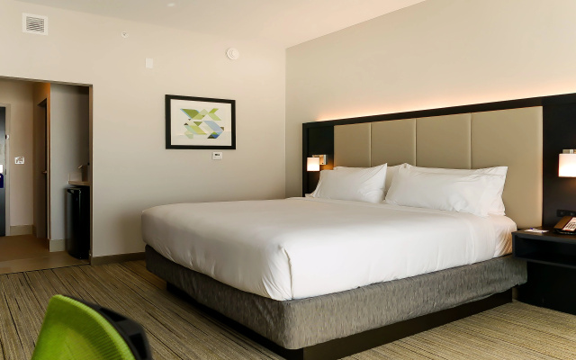 Holiday Inn Express & Suites Tampa East - Ybor City, an IHG Hotel