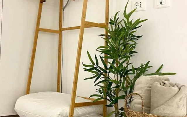 Green Cozy Home City Center Studio