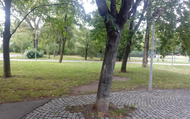 Vienna as it's best