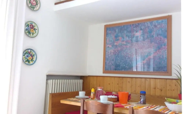 B&B Magenta
