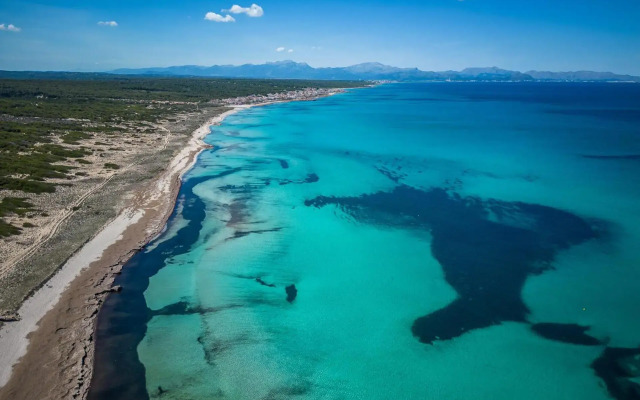 Son Serra