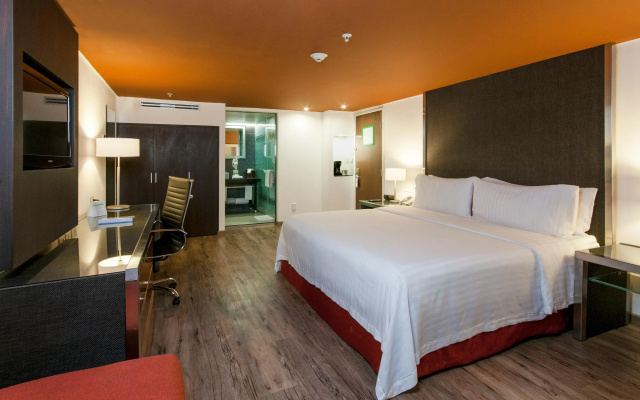 Holiday Inn Zona Centro by IHG
