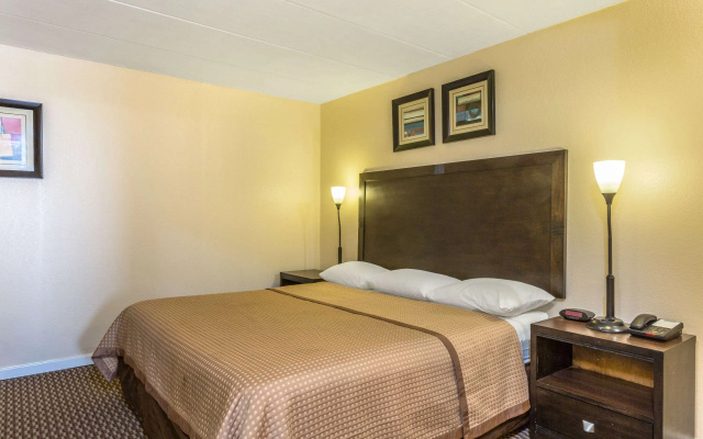 Aquarius Hotel